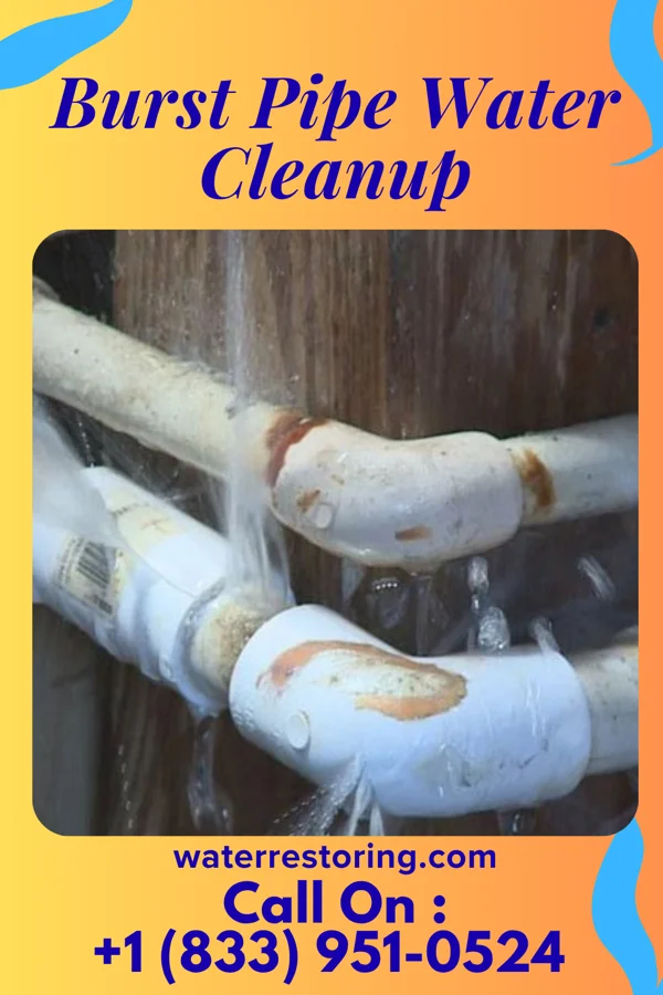 Burst Pipe Water Cleanup in Longview, IL