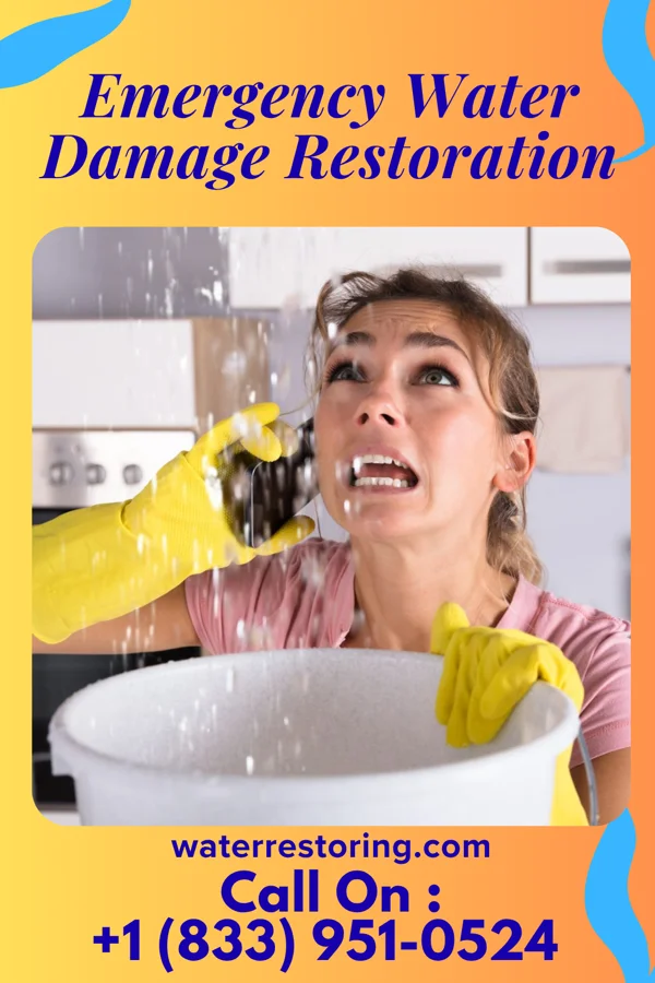Emergency Water Damage Restoration in Longview, IL